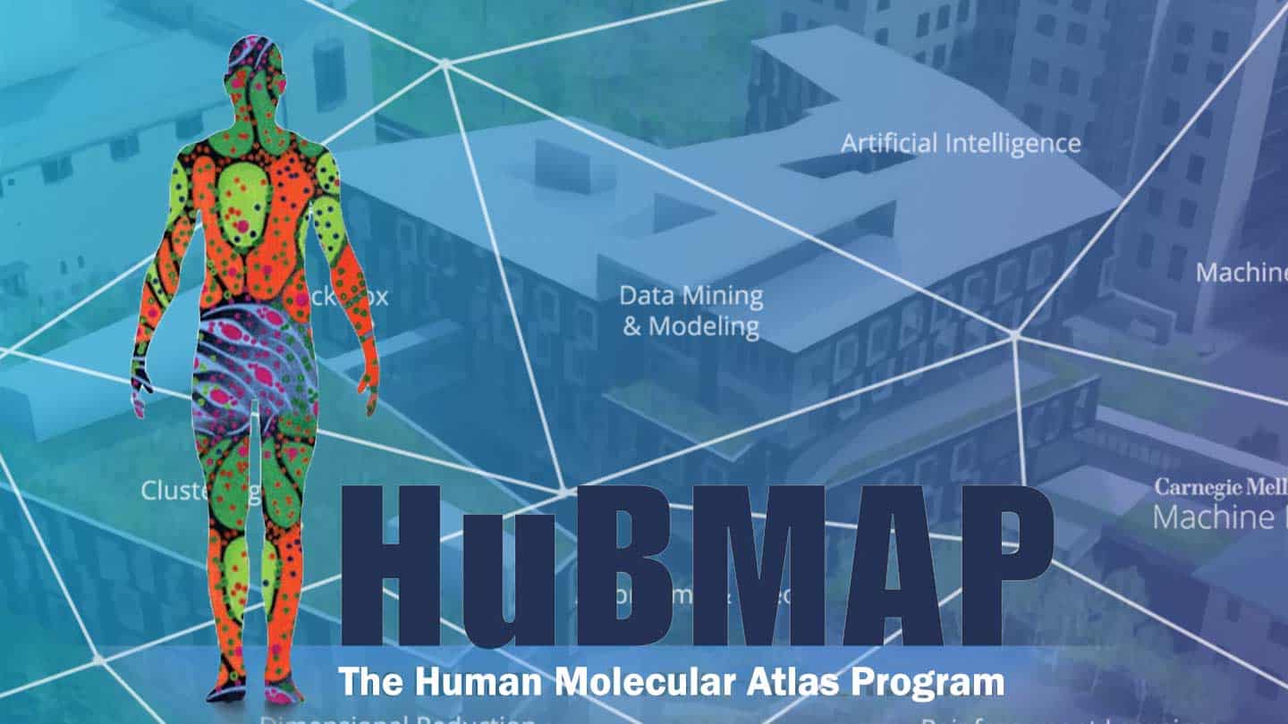  Research Scientists Will Help Build 3D Cellular Map of Human Body | Machine Learning